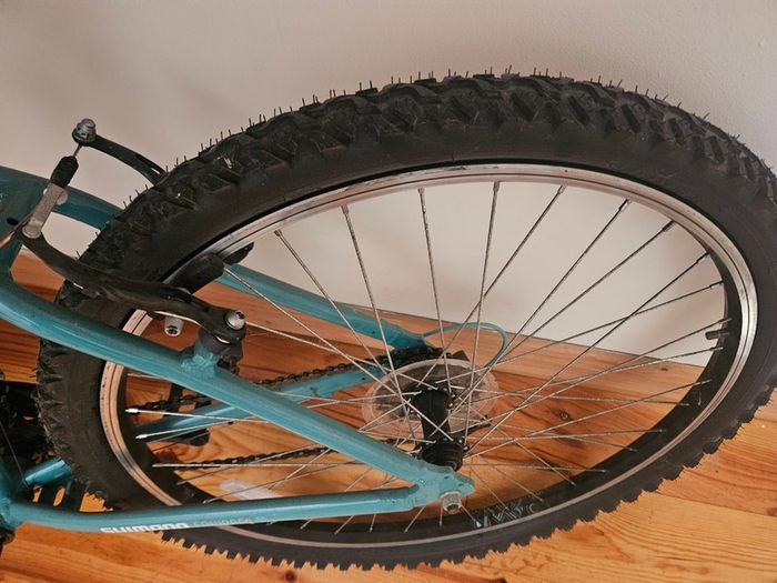 Apollo Bike Entice