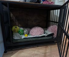 Large Dog Crate