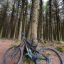 Mountain Bike Image 3