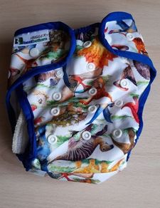 Cloth Nappies, wraps and inserts