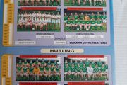 1994 GAA memorabilia