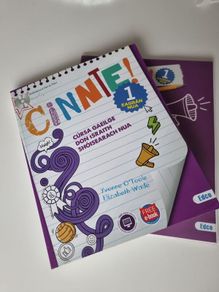 Cinnte 1