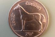 An Irish Hunter From 1964, Free Post
