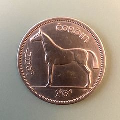 An Irish Hunter From 1964, Free Post