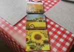 3 panel Daffodil decorative feature