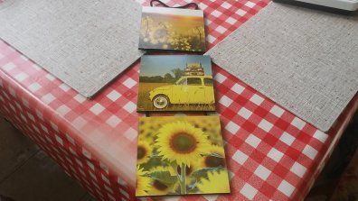 3 panel Daffodil decorative feature