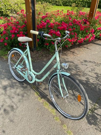 Ladies Bike