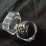Ring Image 4