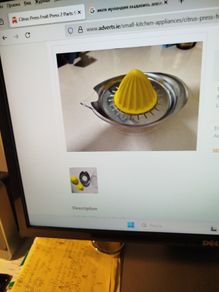 Kitchen  citrus press
