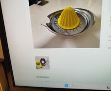 Kitchen  citrus press