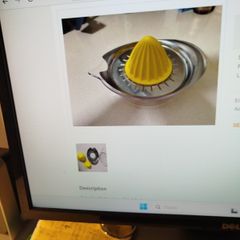 Kitchen  citrus press