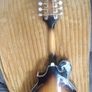 Mandolin Image 10