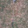 Kids Golf Clubs Image 3