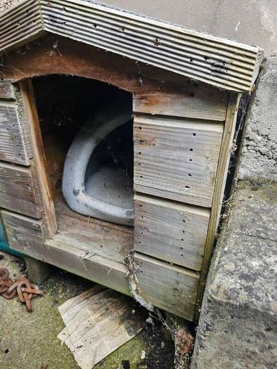 Cat/small Dog outdoor house