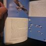 The Life of Birds by Sir David Attenborough (Hardcover, 1998) Image 9