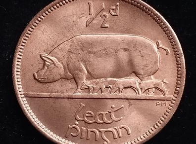 Ireland - 1967 - Irish 1/2d - Irish Half Penny - UNC - KM.10 - [306]
