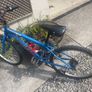 Boys bike Image 2