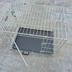 dog crate
