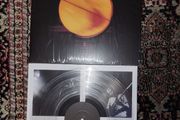 Coldplay: Parachutes LP Clear