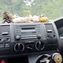 VW Transporter Day Camper Van Image 2