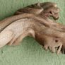 Unusual hand carved wooden lizard on exotic tree branch Image 7