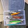 sea bass lures Image 2