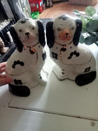 Vintage spaniels set