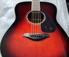 Yamaha FG830 TBS (New)