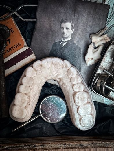 The Last Appointment Curators Tray No 2 Of 30 Oddity Collection