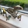 Selection of Dinosaurs Image 6