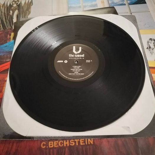 The Used - Vulnerable