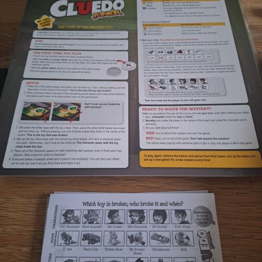 Cleudo Junior