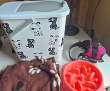 Pet Bundle - Food Container and Harness