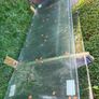 New 12mm Glass Panels Image 2