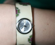 Mudd Watch