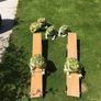 garden games Image 2