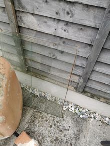 shed window
