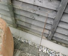 shed window