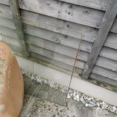 shed window