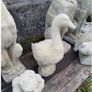 Goose EG032 Image 2