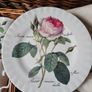 Vintage Optima wicker picnic basket with Roy Kirkham plates and mugs Image 7