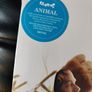 LUMP Animal (Laura Marling) LP deluxe edition Image 2