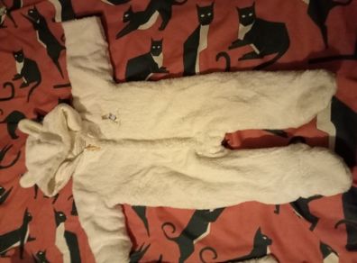 Peter rabbit snowsuit and baby gro bib