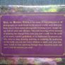 Gaia's Vision Oracle cards. Oracle cards, Meditation, Gift. New Image 2
