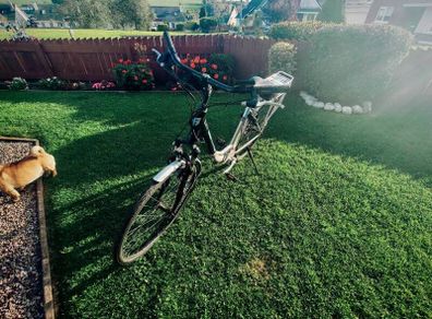 ebike mid drive