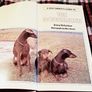 1989. A Dog Owners Guide To The Doberman. Image 2
