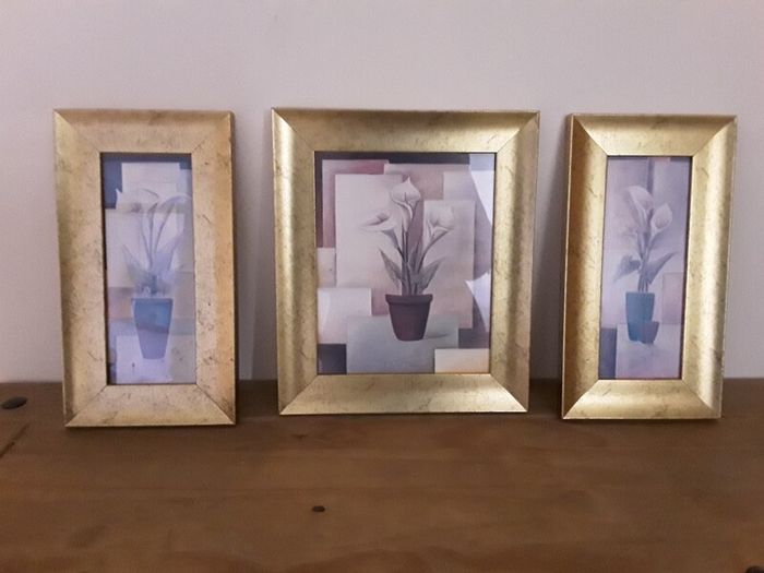 pictures
