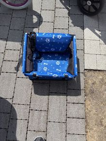 small dog carrier