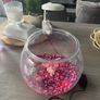 Fish bowl Image 2