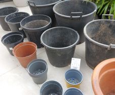 Bundle of various garden planter pots.